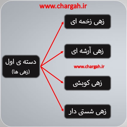 انواع ساز در موسیقی دسته بندی ساز های موسیقی براساس ویژگی و پارمتر های مهم دسته ی اول سازهای زهی