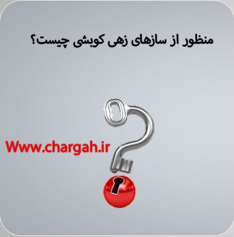 سازهای زهی کوبشی را بهتر بشناسیم 2 سازهای زهی کوبشی