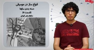 سازهای زهی کوبشی - دسته بندی سازها در موسیقی قسمت 4