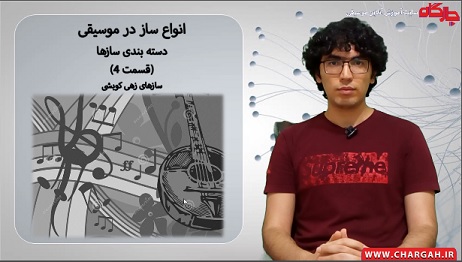 سازهای زهی کوبشی - دسته بندی سازها در موسیقی قسمت 4