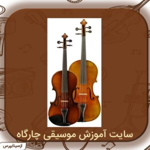 این ساز کمی بزرگ تر از ساز ویولن است - ارکستر زهی